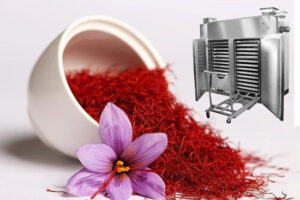 خطاهای رایج در خشک کردن زعفران و راه‌های جلوگیری از آن