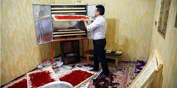 روش گام به گام خشک کردن زعفران