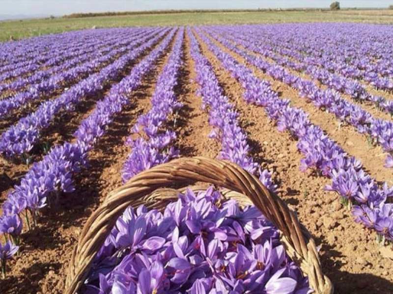 شرایط آب و هوایی