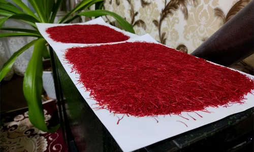 زعفران نم کشیده