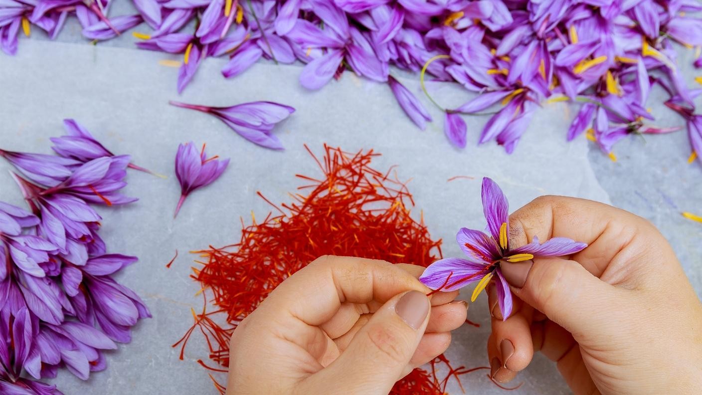 خواص زعفران